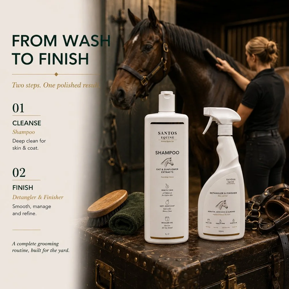 Santos Equine Shampoo and Detangler & Finisher together on a tack trunk